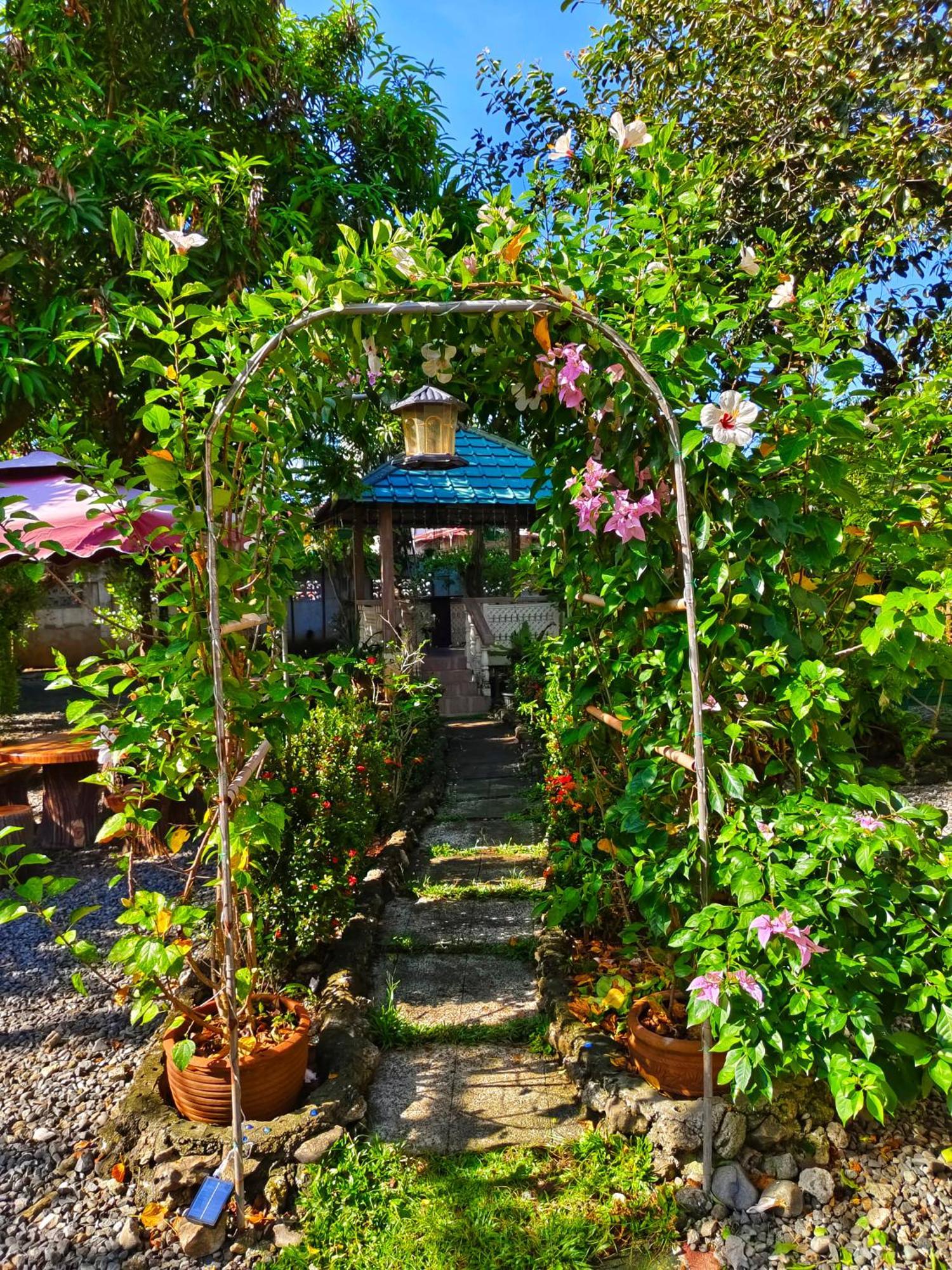 Monte Rio Gardens Bed & Breakfast アラミノス エクステリア 写真