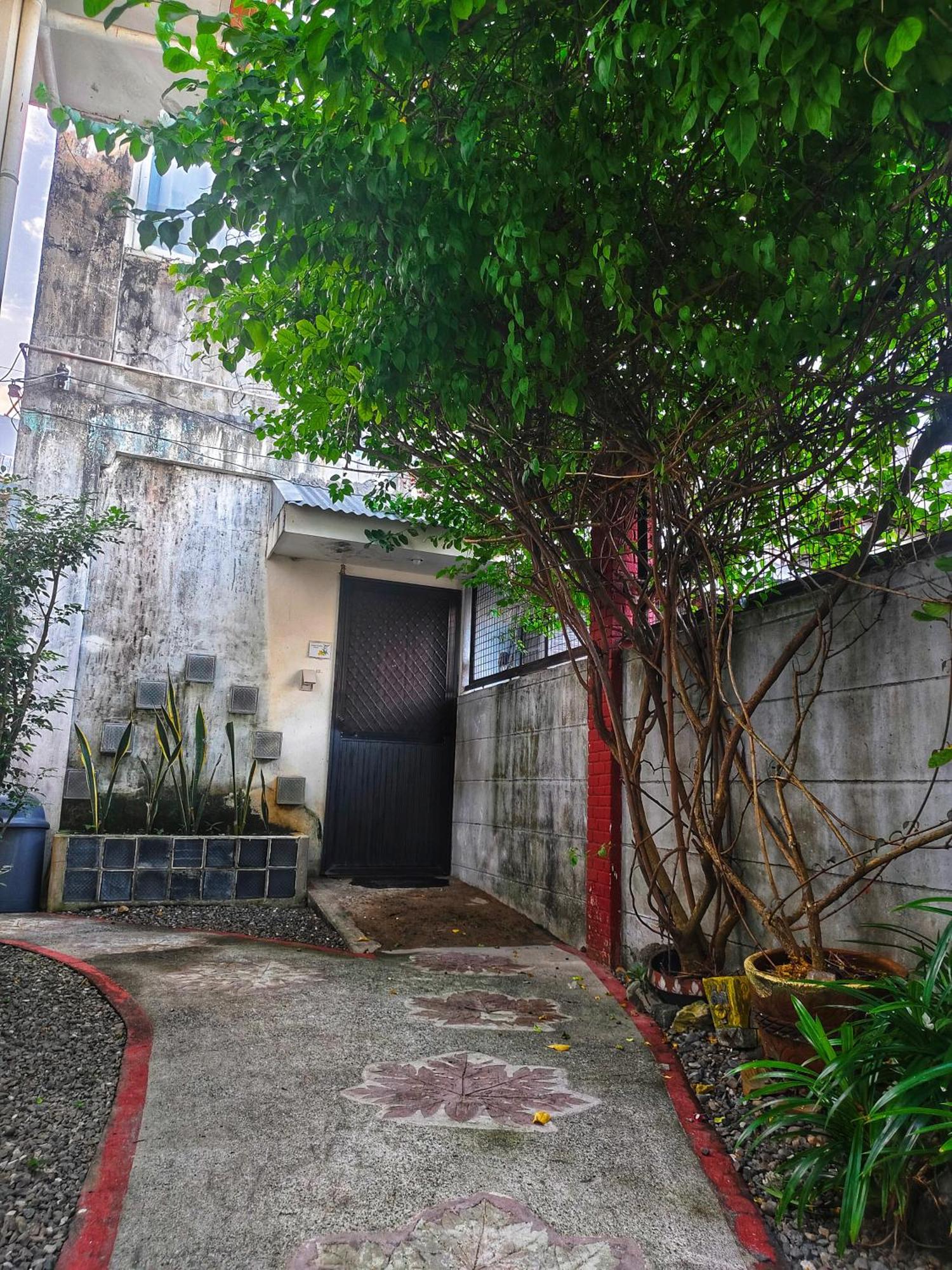 Monte Rio Gardens Bed & Breakfast アラミノス エクステリア 写真